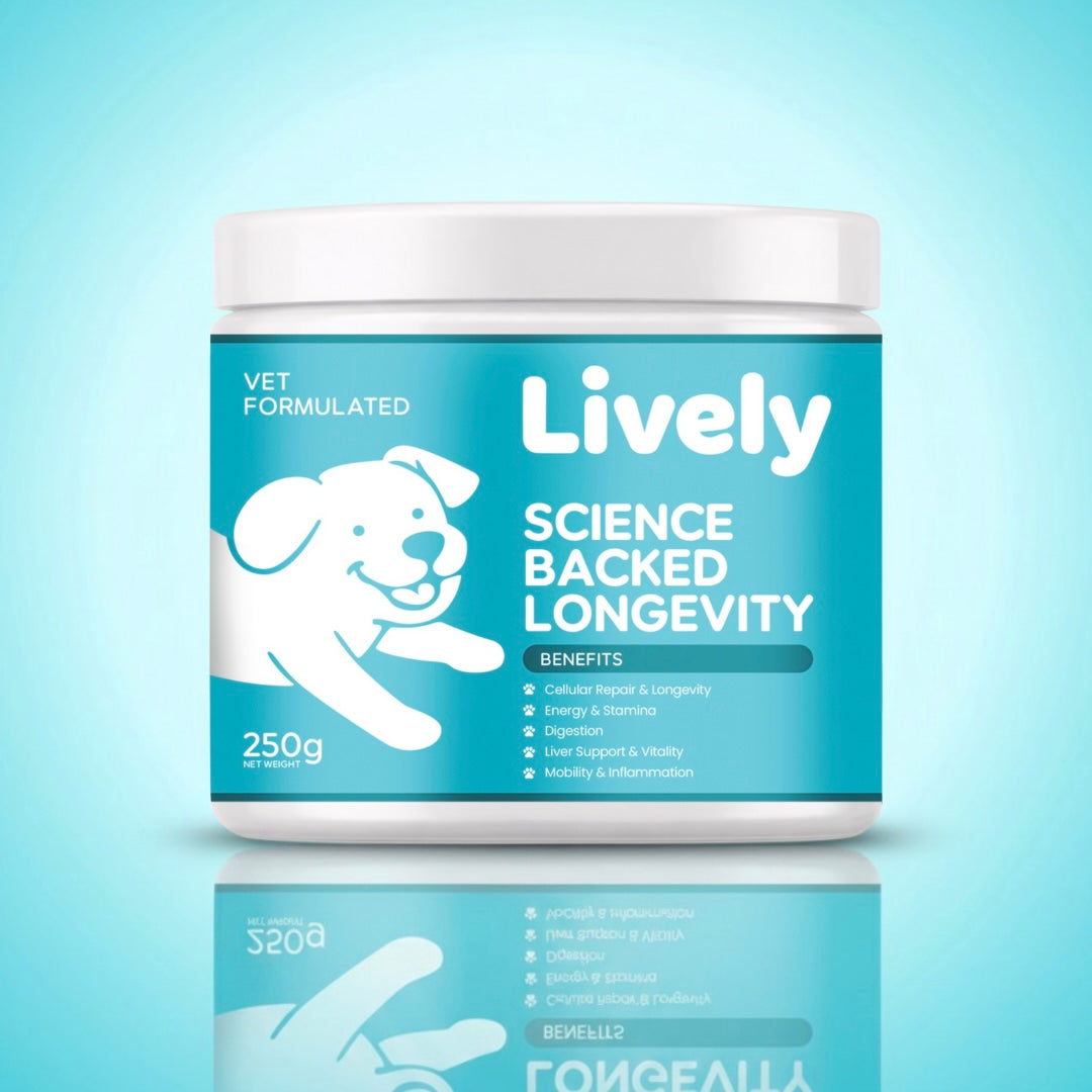 Lively Longevity Chews